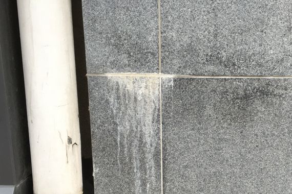 efflorescence removal