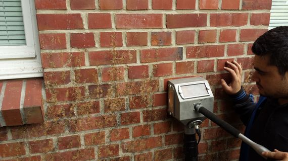 removing ivy from brick