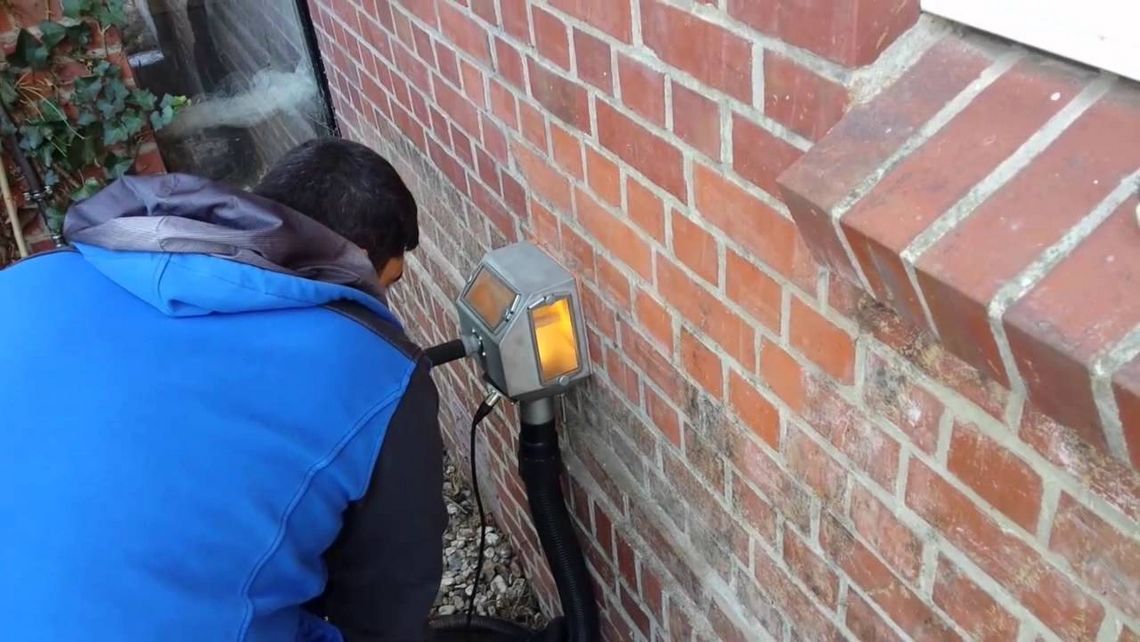 ivy removal from brick