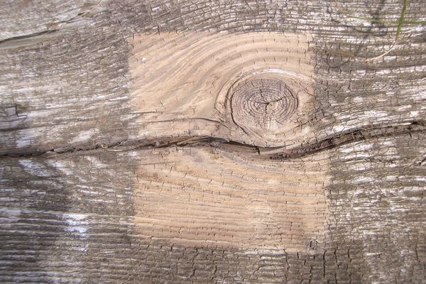 limpieza de madera sin agua y sin químicos