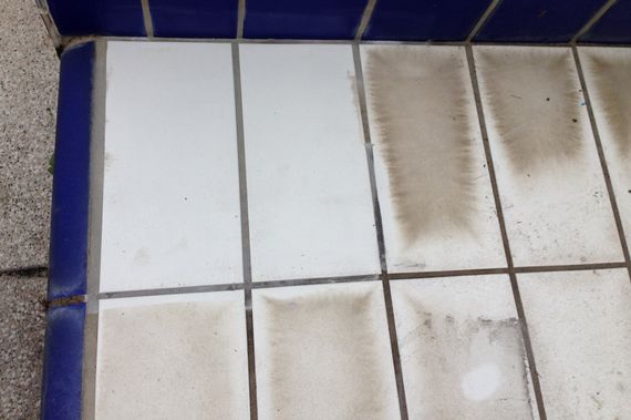  Aparato para limpiar azulejos