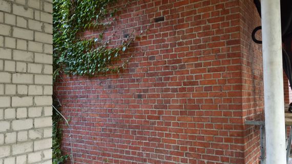 ivy removal from brick