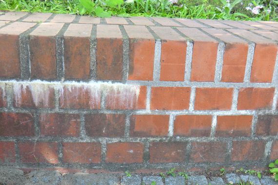 efflorescence on brick